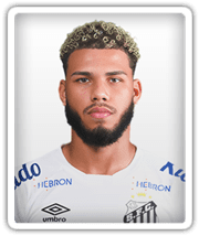 Jogador